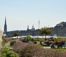 Bordeaux Métropole : sondage et consultation sur la ZFE