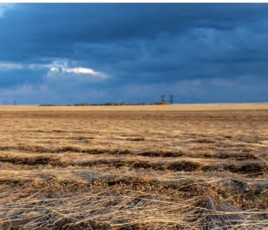 Depuis 2018, les matériaux issus des filières agricoles connaissent un nouvel essor 