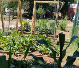 Le potager, installé sur une surface de 3 hectares, s’inscrit dans un projet pédagogique