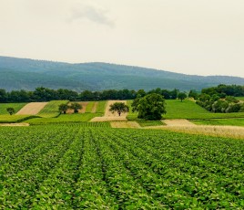 Une majorité des sondés exprime des doutes quant à la faisabilité financière de la mise en œuvre du ZAN