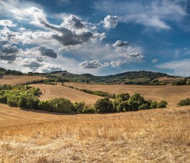 Avec 2,5 millions d'hectares en friche, l'abandon des terres agricoles est un phénomène d'ampleur