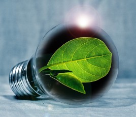 Transition écologique : faire appel au privé pour accélérer