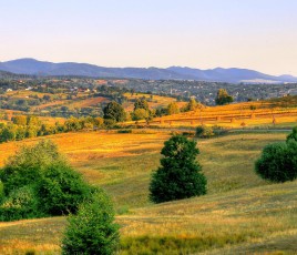 "Petites Villes de Demain", un bilan de terrain largement positif
