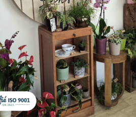 Une fleuriste s’installe dans un local communal, à la suite d’une mise en relation facilitée par Comm’une opportunité