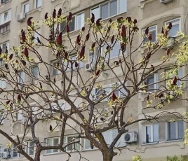  David Amiel, ministre délégué chargé de la Fonction publique et de la Réforme de l’État, veut faire du logement des agents un levier stratégique pour garantir la continuité du service public