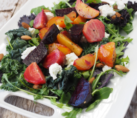 CNFPT propose aux acteurs publics une offre de formation et d’accompagnement pour structurer des politiques alimentaires locales plus durables et plus résilientes