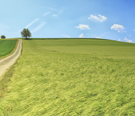 Chaque année, la France artificialise encore entre 20 000 et 30 000 hectares d’espaces naturels, agricoles ou forestiers