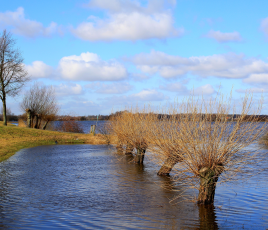 La proposition de loi clarifie les règles applicables à l’entretien des cours d’eau et étend la procédure d’urgence aux travaux nécessaires après une inondation ou destinés à en éviter une nouvelle.
