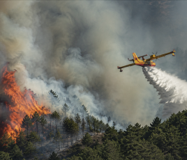 Incendies : prévenir plutôt que reconstruire