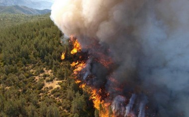 Mobilisation générale contre les feux de forêt