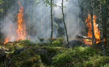 Avec 11 500 hectares brûlés à la mi-août place la saison 2024 juste sous la moyenne de 12 000 hectares de la période 2006-2023