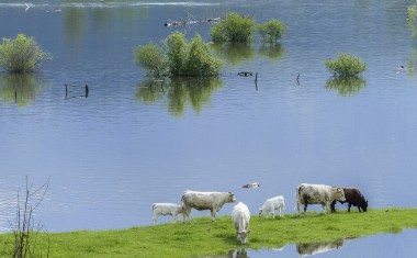 Le Sénat sonne l’alarme et propose une refonte urgente des dispositifs de prévention et de reconstruction.
