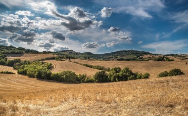 Avec 2,5 millions d'hectares en friche, l'abandon des terres agricoles est un phénomène d'ampleur