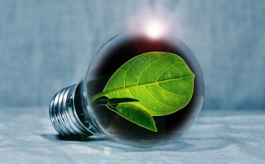 Transition écologique : faire appel au privé pour accélérer