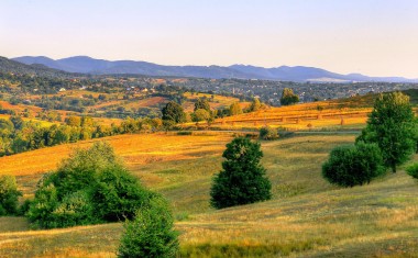 "Petites Villes de Demain", un bilan de terrain largement positif