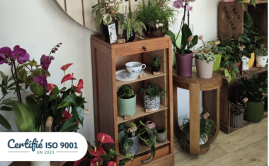 Une fleuriste s’installe dans un local communal, à la suite d’une mise en relation facilitée par Comm’une opportunité