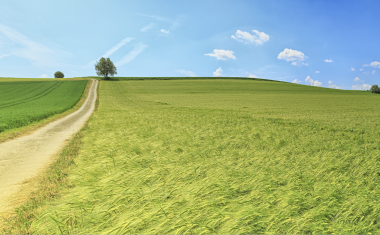 Chaque année, la France artificialise encore entre 20 000 et 30 000 hectares d’espaces naturels, agricoles ou forestiers