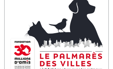 Des villes de plus en plus engagées pour une cohabitation harmonieuse