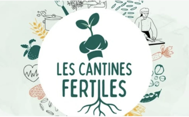 Le Collectif Les Pieds dans le Plat lance « Les Cantines Fertiles » et cherche un établissement du Grand Est prêt à basculer vers une cuisine bio, locale et faite maison. Candidatures à déposer jusqu'au 1er juin.
