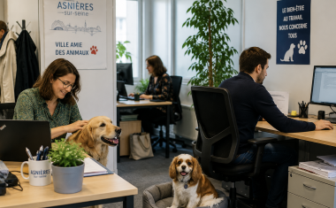 Le 24 juin prochain, à l’occasion de la Semaine du chien au travail, la mairie d’Asnières-sur-Seine donnera le coup d’envoi d’une expérimentation originale