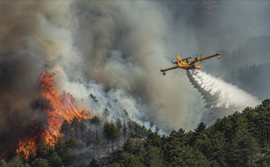 Incendies : prévenir plutôt que reconstruire