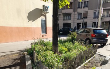 Les arbres de pluie de métropole de Lyon
