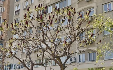  David Amiel, ministre délégué chargé de la Fonction publique et de la Réforme de l’État, veut faire du logement des agents un levier stratégique pour garantir la continuité du service public