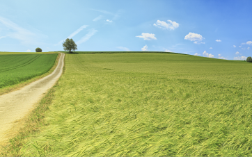 Chaque année, la France artificialise encore entre 20 000 et 30 000 hectares d’espaces naturels, agricoles ou forestiers