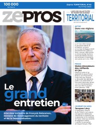 Territorial 45
