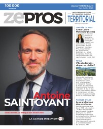 Territorial 51
