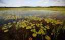 Stratégie nationale biodiversité 2030