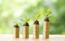 Succès au rendez-vous pour le Fonds vert