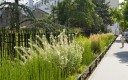 Fonds de renaturation : les villes en manque d’information