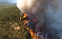 Mobilisation générale contre les feux de forêt
