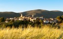 Quel devenir pour les zones de revitalisation rurale ?