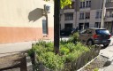 Les arbres de pluie de métropole de Lyon