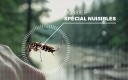Dossier spécial nuisibles