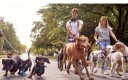 La place accordée aux animaux de compagnie est un facteur d’attractivité pour les villes.