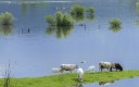 Le Sénat sonne l’alarme et propose une refonte urgente des dispositifs de prévention et de reconstruction. 