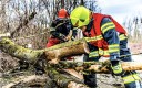 Les sapeurs-pompiers en France font face à des risques majeurs lors de leurs interventions