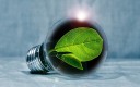 Transition écologique : faire appel au privé pour accélérer