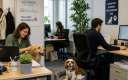 Le 24 juin prochain, à l’occasion de la Semaine du chien au travail, la mairie d’Asnières-sur-Seine donnera le coup d’envoi d’une expérimentation originale