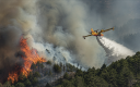 Incendies : prévenir plutôt que reconstruire