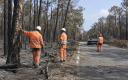 L’incendie de Saumos aurait provoqué la chute potentielle de 85 000 arbres et détérioré routes, pistes cyclables et équipements de signalisation