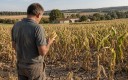 Après trois mois presque sans pluie dans certains territoires, la production française de maïs grain devrait chuter de 35,5 % en 2026, pour une perte économique estimée à un milliard d’euros